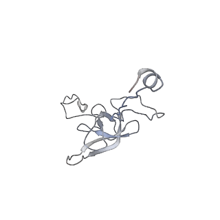 0656_6o8w_l_v1-2
Cryo-EM image reconstruction of the 70S Ribosome Enterococcus faecalis Class01