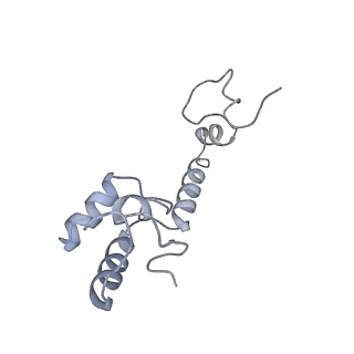 0656_6o8w_m_v1-2
Cryo-EM image reconstruction of the 70S Ribosome Enterococcus faecalis Class01