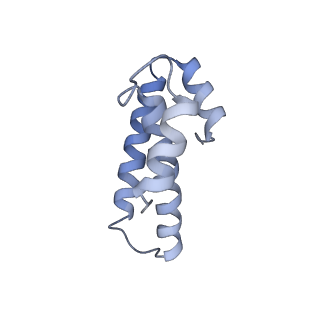 0656_6o8w_o_v1-2
Cryo-EM image reconstruction of the 70S Ribosome Enterococcus faecalis Class01