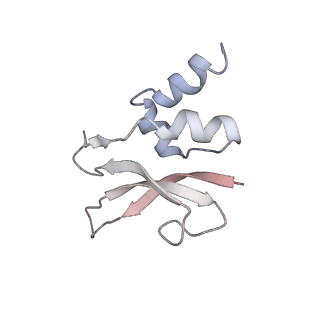 0656_6o8w_p_v1-2
Cryo-EM image reconstruction of the 70S Ribosome Enterococcus faecalis Class01