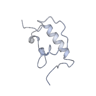 0656_6o8w_r_v1-2
Cryo-EM image reconstruction of the 70S Ribosome Enterococcus faecalis Class01