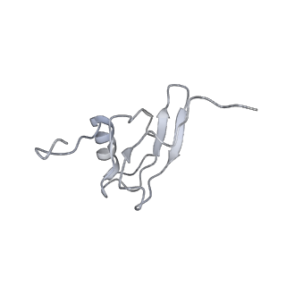 0656_6o8w_s_v1-1
Cryo-EM image reconstruction of the 70S Ribosome Enterococcus faecalis Class01