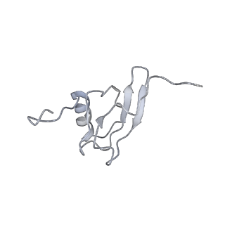 0656_6o8w_s_v1-2
Cryo-EM image reconstruction of the 70S Ribosome Enterococcus faecalis Class01