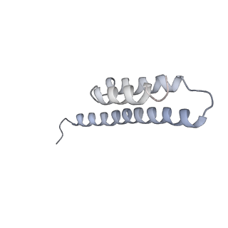 0656_6o8w_t_v1-2
Cryo-EM image reconstruction of the 70S Ribosome Enterococcus faecalis Class01