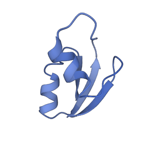 0657_6o8x_0_v1-2
Cryo-EM image reconstruction of the 70S Ribosome Enterococcus faecalis Class02