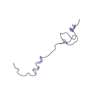 0657_6o8x_2_v1-1
Cryo-EM image reconstruction of the 70S Ribosome Enterococcus faecalis Class02