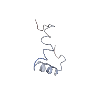 0657_6o8x_4_v1-2
Cryo-EM image reconstruction of the 70S Ribosome Enterococcus faecalis Class02