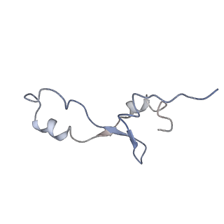 0657_6o8x_5_v1-2
Cryo-EM image reconstruction of the 70S Ribosome Enterococcus faecalis Class02