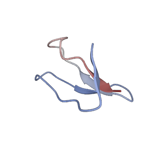 0657_6o8x_6_v1-2
Cryo-EM image reconstruction of the 70S Ribosome Enterococcus faecalis Class02