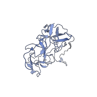 0657_6o8x_C_v1-2
Cryo-EM image reconstruction of the 70S Ribosome Enterococcus faecalis Class02