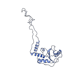 0657_6o8x_E_v1-1
Cryo-EM image reconstruction of the 70S Ribosome Enterococcus faecalis Class02