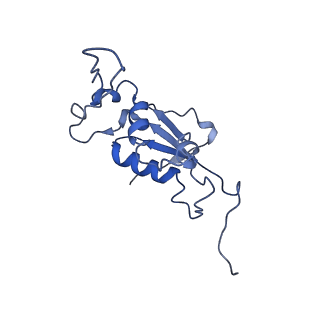 0657_6o8x_K_v1-1
Cryo-EM image reconstruction of the 70S Ribosome Enterococcus faecalis Class02