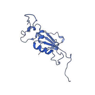 0657_6o8x_K_v1-2
Cryo-EM image reconstruction of the 70S Ribosome Enterococcus faecalis Class02