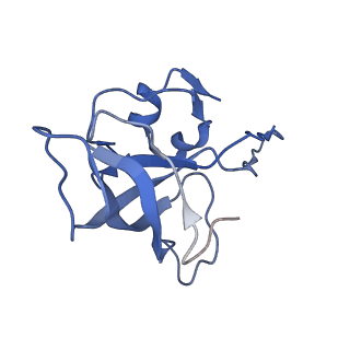 0657_6o8x_L_v1-2
Cryo-EM image reconstruction of the 70S Ribosome Enterococcus faecalis Class02