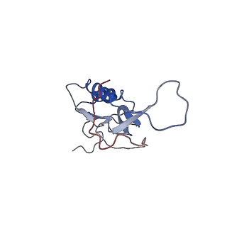 0657_6o8x_N_v1-1
Cryo-EM image reconstruction of the 70S Ribosome Enterococcus faecalis Class02
