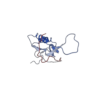 0657_6o8x_N_v1-2
Cryo-EM image reconstruction of the 70S Ribosome Enterococcus faecalis Class02