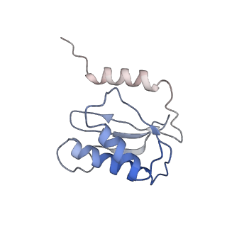 0657_6o8x_P_v1-2
Cryo-EM image reconstruction of the 70S Ribosome Enterococcus faecalis Class02