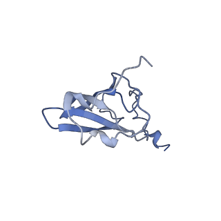 0657_6o8x_Q_v1-2
Cryo-EM image reconstruction of the 70S Ribosome Enterococcus faecalis Class02