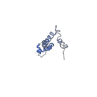 0657_6o8x_R_v1-2
Cryo-EM image reconstruction of the 70S Ribosome Enterococcus faecalis Class02