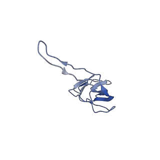 0657_6o8x_S_v1-2
Cryo-EM image reconstruction of the 70S Ribosome Enterococcus faecalis Class02