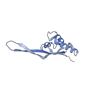 0657_6o8x_T_v1-1
Cryo-EM image reconstruction of the 70S Ribosome Enterococcus faecalis Class02