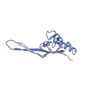 0657_6o8x_T_v1-2
Cryo-EM image reconstruction of the 70S Ribosome Enterococcus faecalis Class02