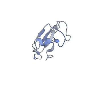 0657_6o8x_U_v1-1
Cryo-EM image reconstruction of the 70S Ribosome Enterococcus faecalis Class02