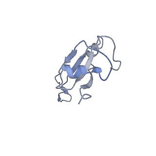 0657_6o8x_U_v1-2
Cryo-EM image reconstruction of the 70S Ribosome Enterococcus faecalis Class02