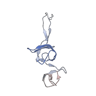 0657_6o8x_V_v1-2
Cryo-EM image reconstruction of the 70S Ribosome Enterococcus faecalis Class02