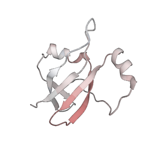 0657_6o8x_W_v1-2
Cryo-EM image reconstruction of the 70S Ribosome Enterococcus faecalis Class02