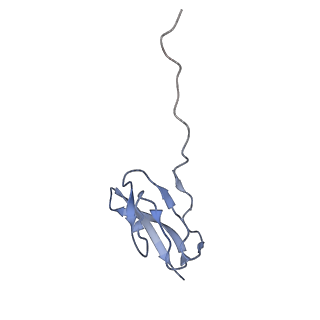 0657_6o8x_X_v1-1
Cryo-EM image reconstruction of the 70S Ribosome Enterococcus faecalis Class02
