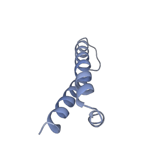 0657_6o8x_Z_v1-1
Cryo-EM image reconstruction of the 70S Ribosome Enterococcus faecalis Class02