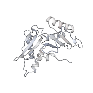 0657_6o8x_c_v1-2
Cryo-EM image reconstruction of the 70S Ribosome Enterococcus faecalis Class02