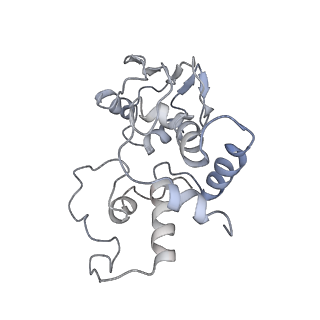 0657_6o8x_d_v1-2
Cryo-EM image reconstruction of the 70S Ribosome Enterococcus faecalis Class02