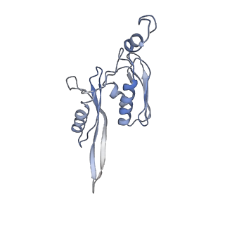 0657_6o8x_e_v1-1
Cryo-EM image reconstruction of the 70S Ribosome Enterococcus faecalis Class02