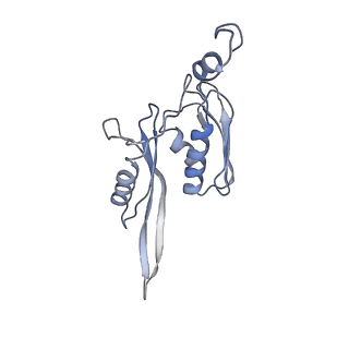 0657_6o8x_e_v1-2
Cryo-EM image reconstruction of the 70S Ribosome Enterococcus faecalis Class02