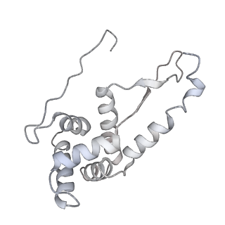 0657_6o8x_g_v1-2
Cryo-EM image reconstruction of the 70S Ribosome Enterococcus faecalis Class02