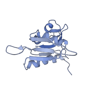 0657_6o8x_h_v1-1
Cryo-EM image reconstruction of the 70S Ribosome Enterococcus faecalis Class02
