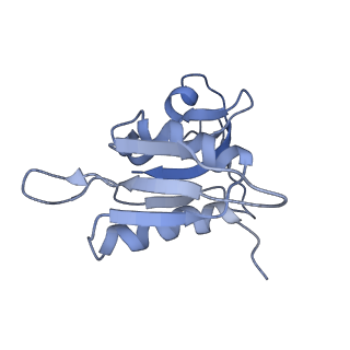 0657_6o8x_h_v1-2
Cryo-EM image reconstruction of the 70S Ribosome Enterococcus faecalis Class02