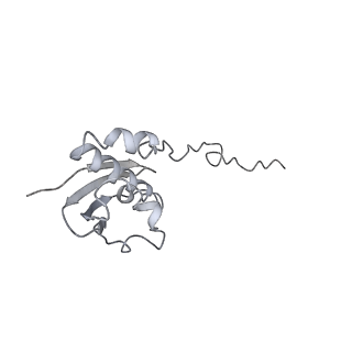 0657_6o8x_i_v1-1
Cryo-EM image reconstruction of the 70S Ribosome Enterococcus faecalis Class02