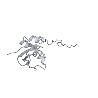 0657_6o8x_i_v1-2
Cryo-EM image reconstruction of the 70S Ribosome Enterococcus faecalis Class02