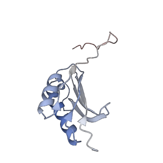 0657_6o8x_k_v1-2
Cryo-EM image reconstruction of the 70S Ribosome Enterococcus faecalis Class02