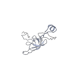 0657_6o8x_l_v1-2
Cryo-EM image reconstruction of the 70S Ribosome Enterococcus faecalis Class02