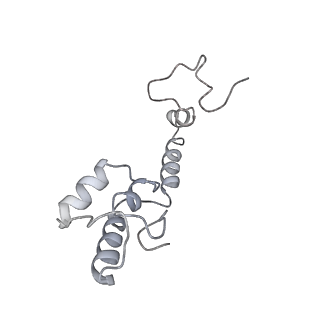 0657_6o8x_m_v1-2
Cryo-EM image reconstruction of the 70S Ribosome Enterococcus faecalis Class02