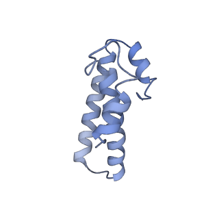 0657_6o8x_o_v1-2
Cryo-EM image reconstruction of the 70S Ribosome Enterococcus faecalis Class02