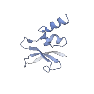 0657_6o8x_p_v1-2
Cryo-EM image reconstruction of the 70S Ribosome Enterococcus faecalis Class02