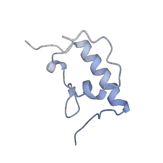 0657_6o8x_r_v1-1
Cryo-EM image reconstruction of the 70S Ribosome Enterococcus faecalis Class02