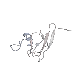 0657_6o8x_s_v1-2
Cryo-EM image reconstruction of the 70S Ribosome Enterococcus faecalis Class02