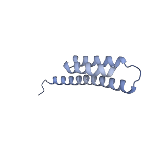 0657_6o8x_t_v1-2
Cryo-EM image reconstruction of the 70S Ribosome Enterococcus faecalis Class02