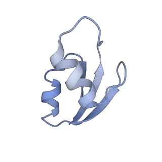 0658_6o8y_0_v1-1
Cryo-EM image reconstruction of the 70S Ribosome Enterococcus faecalis Class03